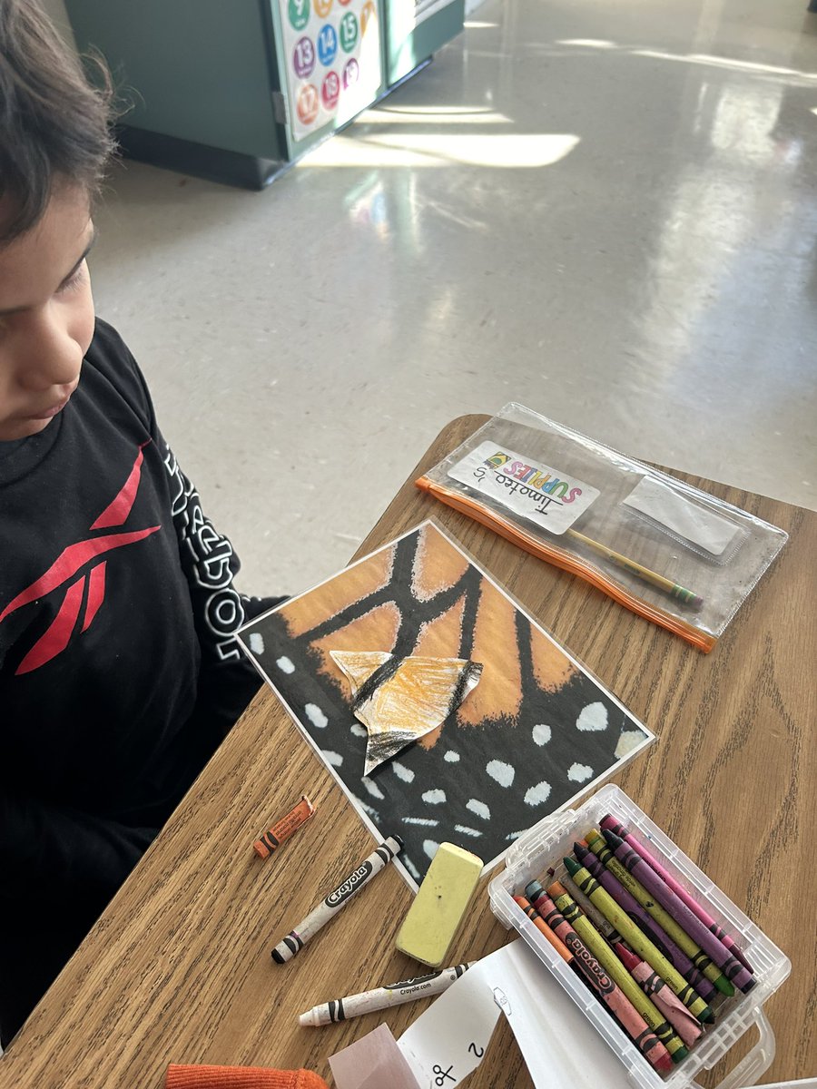 Jeni Vogel tweet media