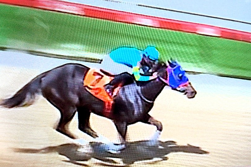 La 2da se lleva la victoria Afefita  la pupila de las sedas del Paula C , quien los lleva nuevamente al recinto de ganadores después  de 11 años para la cuadra del tráiner Gabriel Márquez <a href="/gmarquez_j/">Gabriel Márquez G⭐M</a> con gran conducción de Yonecso Bermúdez <a href="/BermudezYonecso/">Yonecso Bermúdez</a> sobre los estribos.