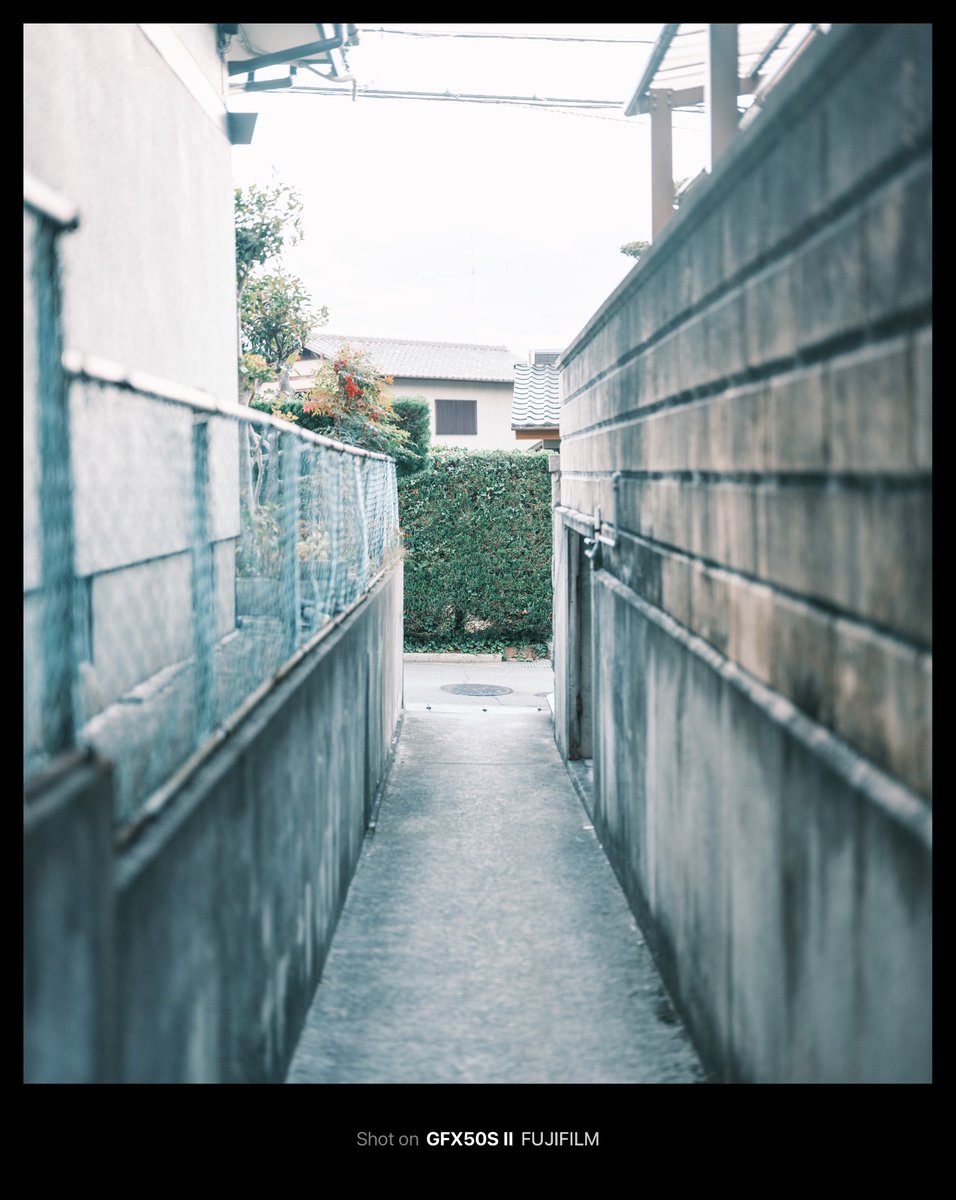 naotokirimare's tweet photo. GF55mm F1.7 R WR https://t.co/i4TtCagksi