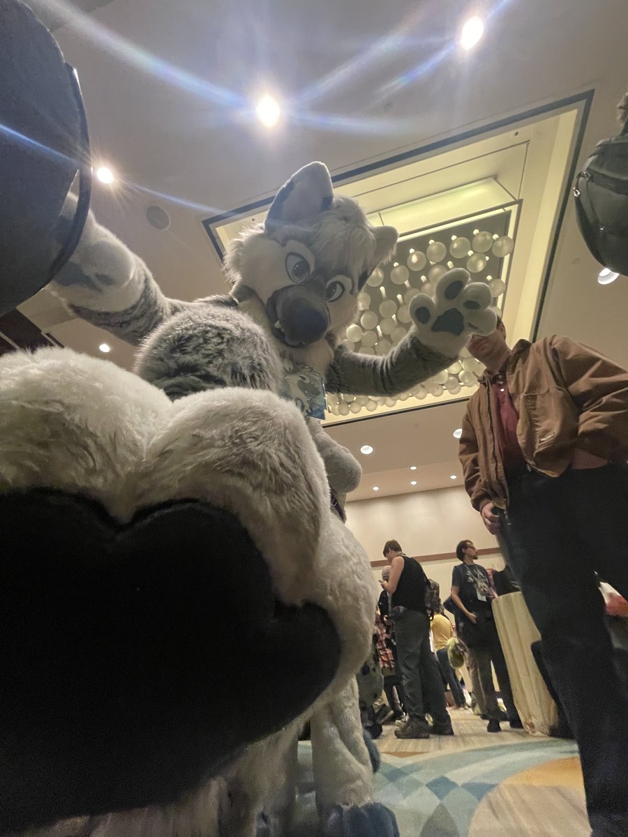 Knotty_Blusk_AD's tweet photo. @FrostFireguard Hello ^w^ your dms aren’t really open but thank you for letting me take pictures of you <33 

Enjoy the rest of the con :3 https://t.co/8laOnmWd2b