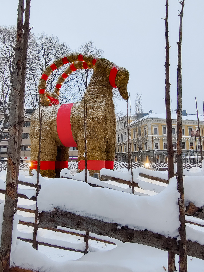 I'm serving a fresh new look this year. 

Due to the weather in Sweden effecting the harvest, my straw looks a bit different. I think it suits me. 🐐