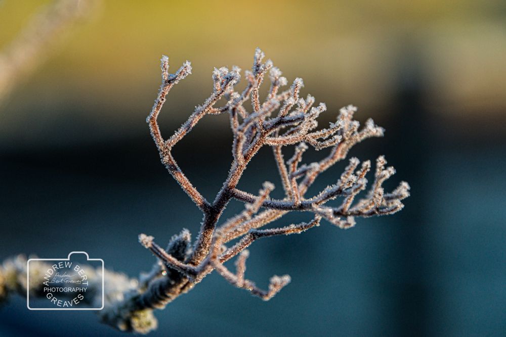 It's a bit cold out...

#macro #cupoty #closeupphotography #frost #frosted #winter #art #visualart #ice #icecrystals #Nikon #macrophotography