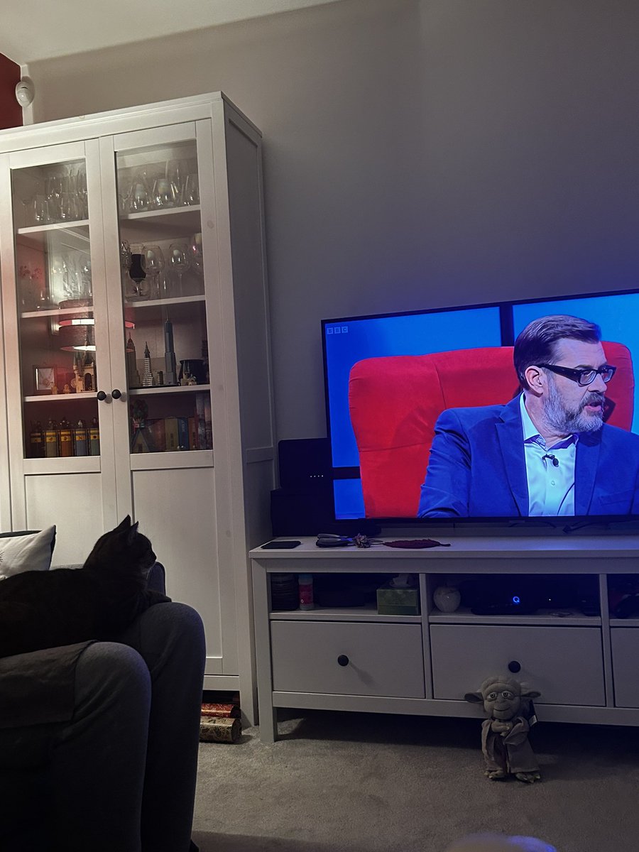 katyyLISTER's tweet photo. Catching up on House of Games and someone is a fan @richardosman 🐱 https://t.co/NiYpBpmu3J