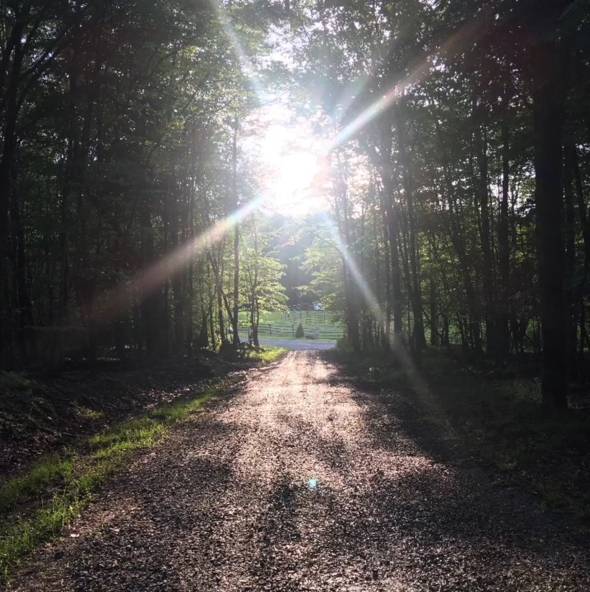 Dark Side Family Jams ☆ DSFJ ☆ tweet media