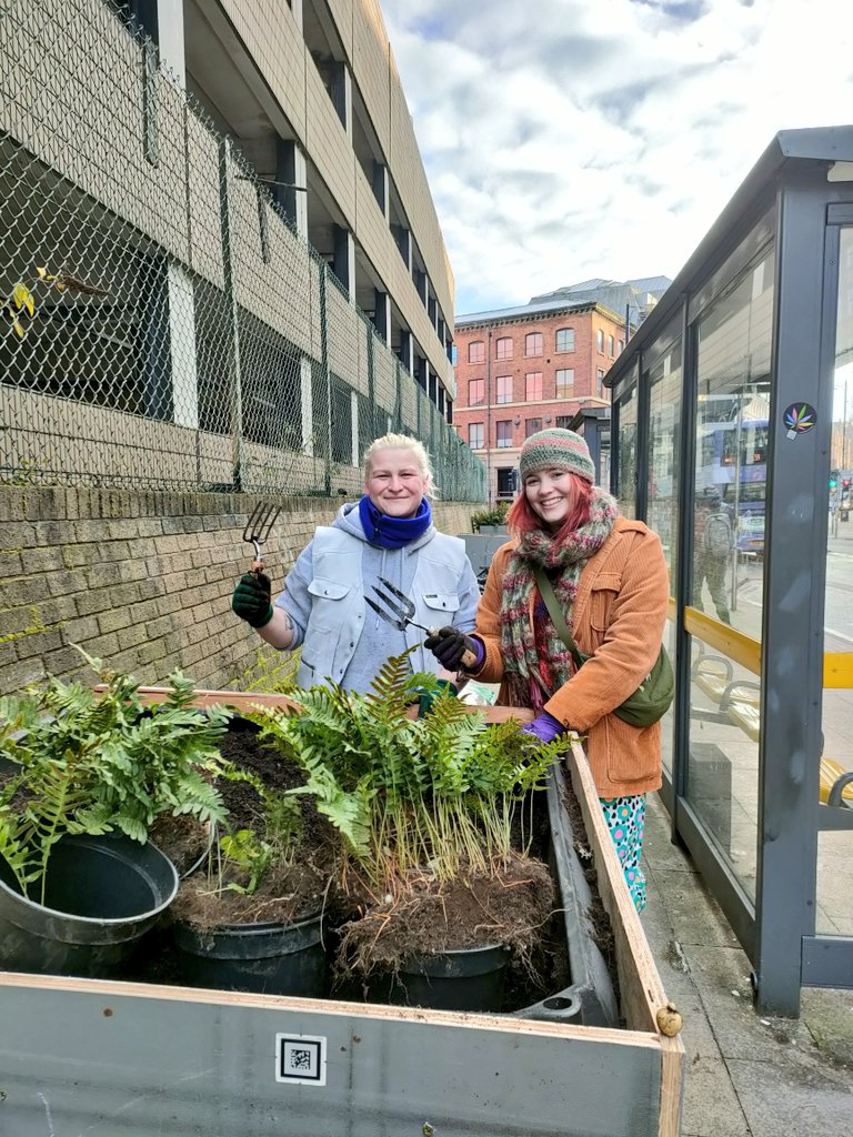 NorthernQuarterForum tweet media