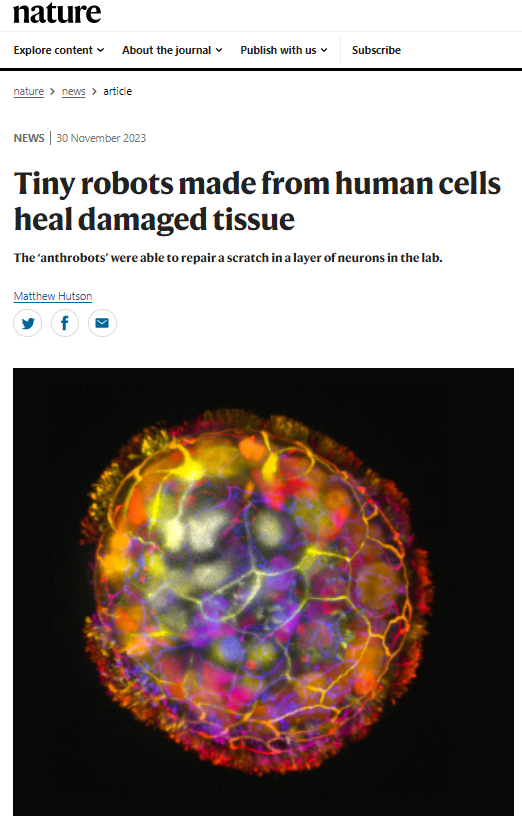 Medtorek's tweet image. Robots hechos de células humanas curan tejido dañado
👉#anthrobots curaron una capa neuronal en el laboratorio 🧠
Via @Nature 
⚓️bit.ly/3sRhlCZ
@VicM_RodriguezM @ConchiLillo @svillapol @endairatena @digitalnursing @drmiguelmarcos @VicenteLozadaB @docramiro