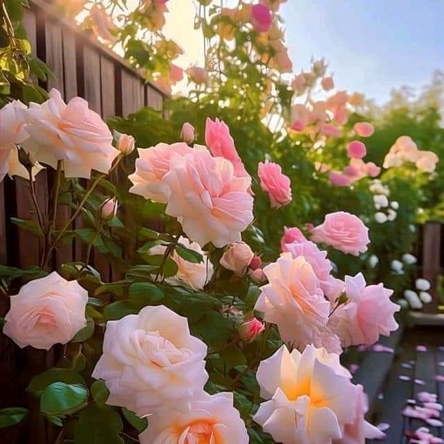 NejhadAbbas's tweet photo. #تصویرنمایه‌جدید https://t.co/skjYosZzPy