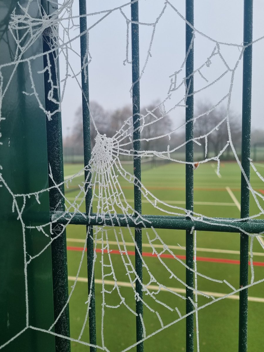 These 2 pics sum up @parkrunUK today. Volunteering as timekeeper in the cold, but with 9 tops and a jacket,I kept warm. Lovely chats with volunteers and the parkrunners were extra appreciative today from first finisher to tail walker. Super morning.