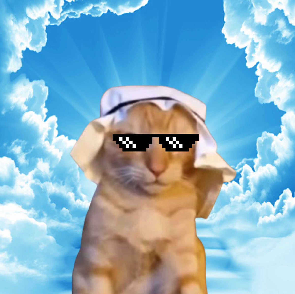 InshallahCoin's tweet photo. he has risen again…

$INSHALLAH https://t.co/79au01Cq02