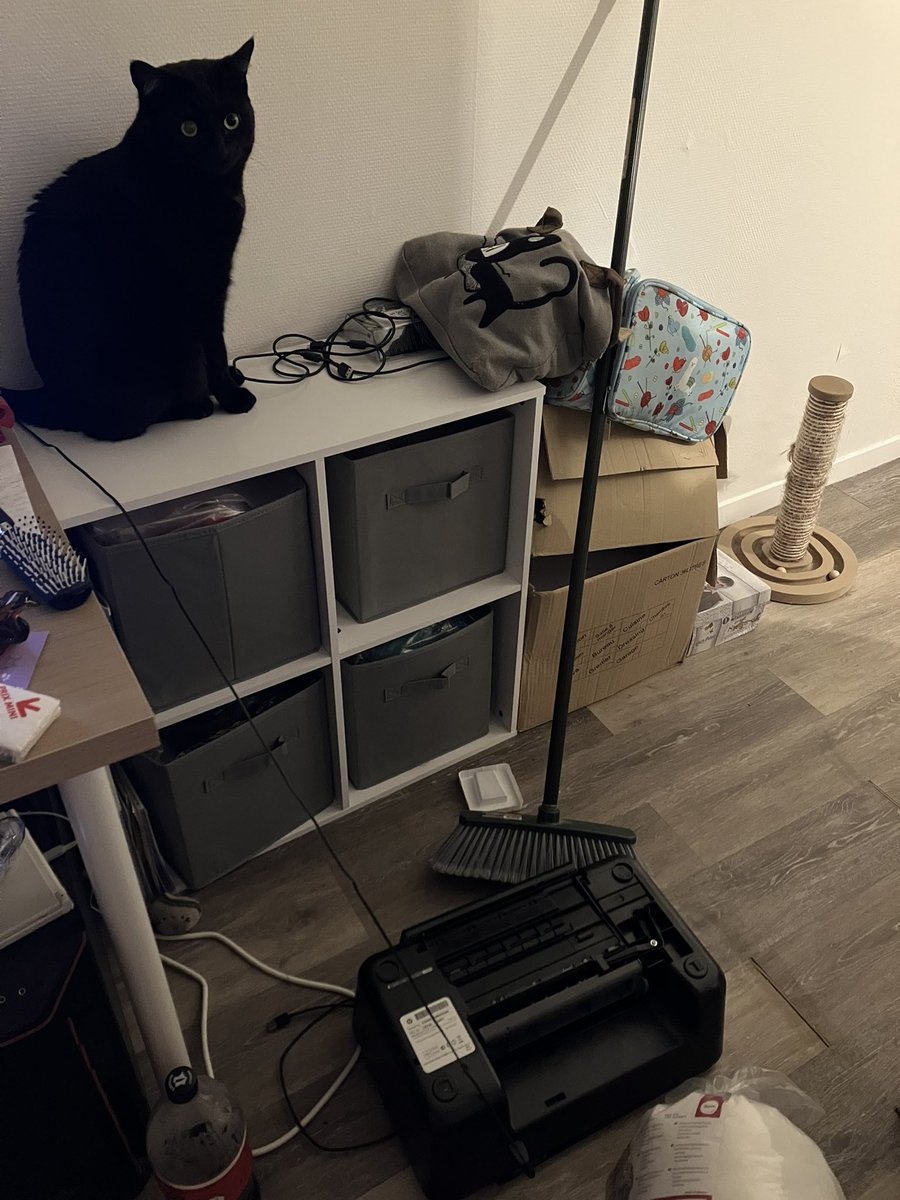 RubisChat's tweet image. Oups.