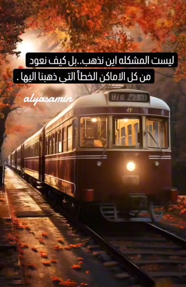 Abou Diana (@abou_diana60) on Twitter photo 