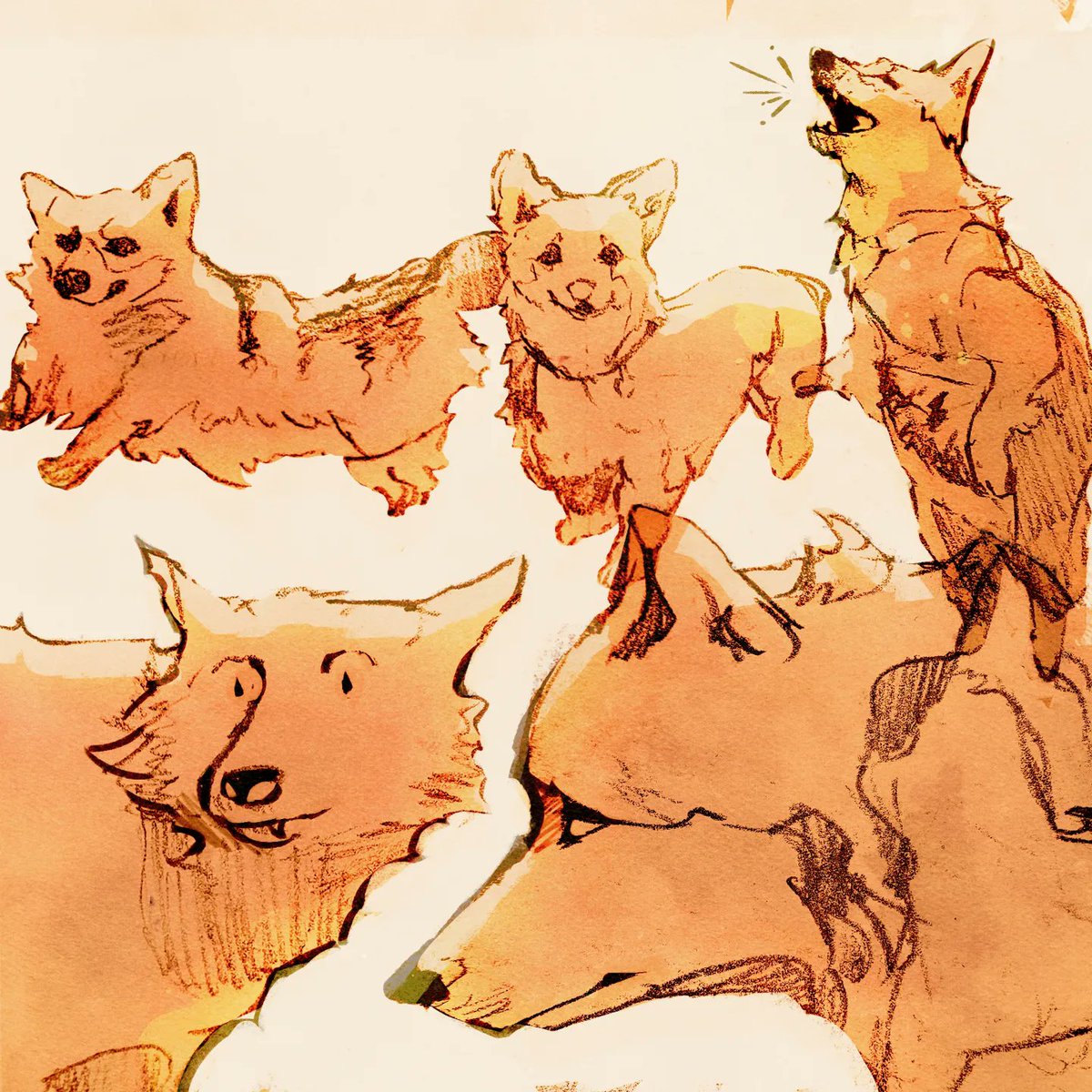 Shawn Dinh Stephens tweet media