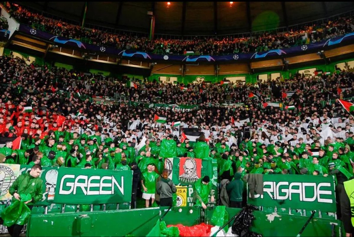 JungleLion_'s tweet photo. GET THEM BACK 🇮🇪🍀 https://t.co/6c6d4Tkxq7