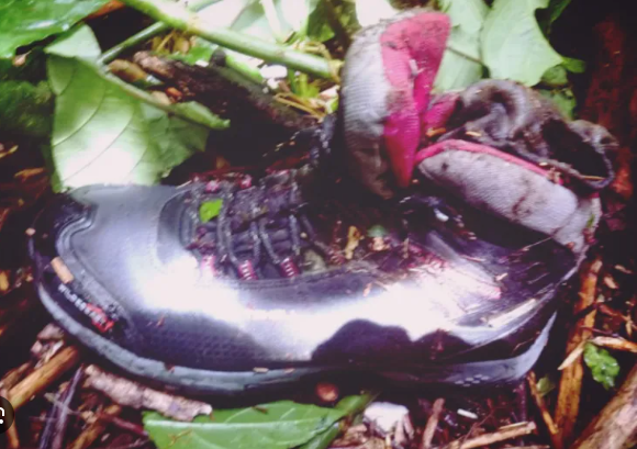 Araknne1's tweet photo. Uno de estos restos óseos que arrojaron mucha información, fue el pie de Lissane encontrado aún dentro de su bota. Según los forenses, los huesos metacarpianos estaban fracturados y a su vez, el pie, que aún tenía tejido, estaba inflamado debido a la caminata. https://t.co/mj6AxHYMHI