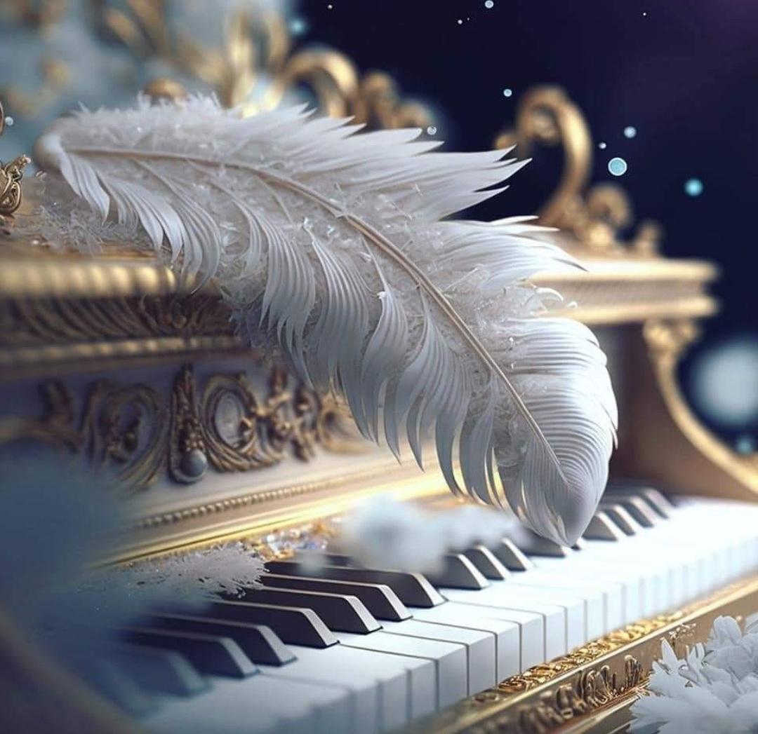 زنبقة 🦋 tweet media