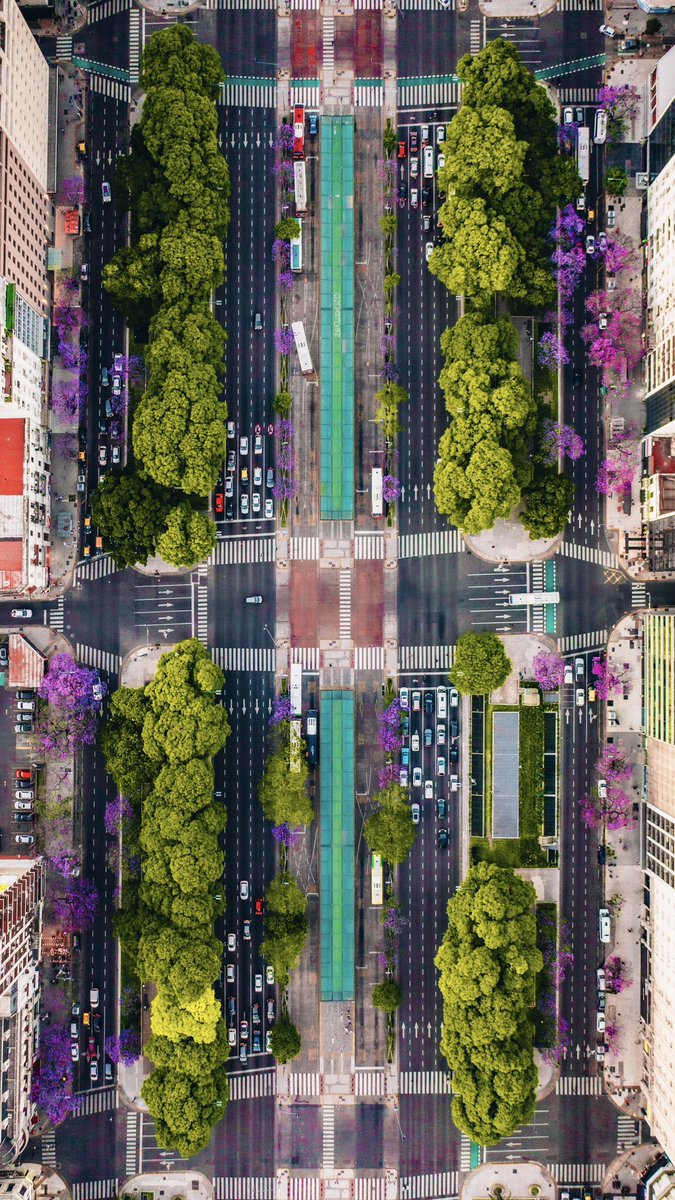 Juanchi_Ugalde's tweet photo. Colores de la primavera en la 9 de Julio. 

Buenos Aires, Argentina 📍🇦🇷 https://t.co/VDmGFmjbMJ
