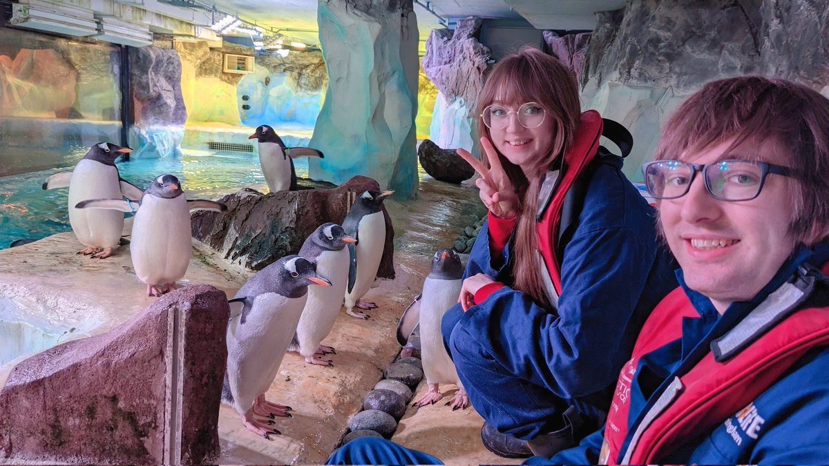 kyahri_'s tweet photo. we finally got to feed our penguin friends at the sea life centre again!! 🥹🥹💞 https://t.co/FMT8ajJyjc