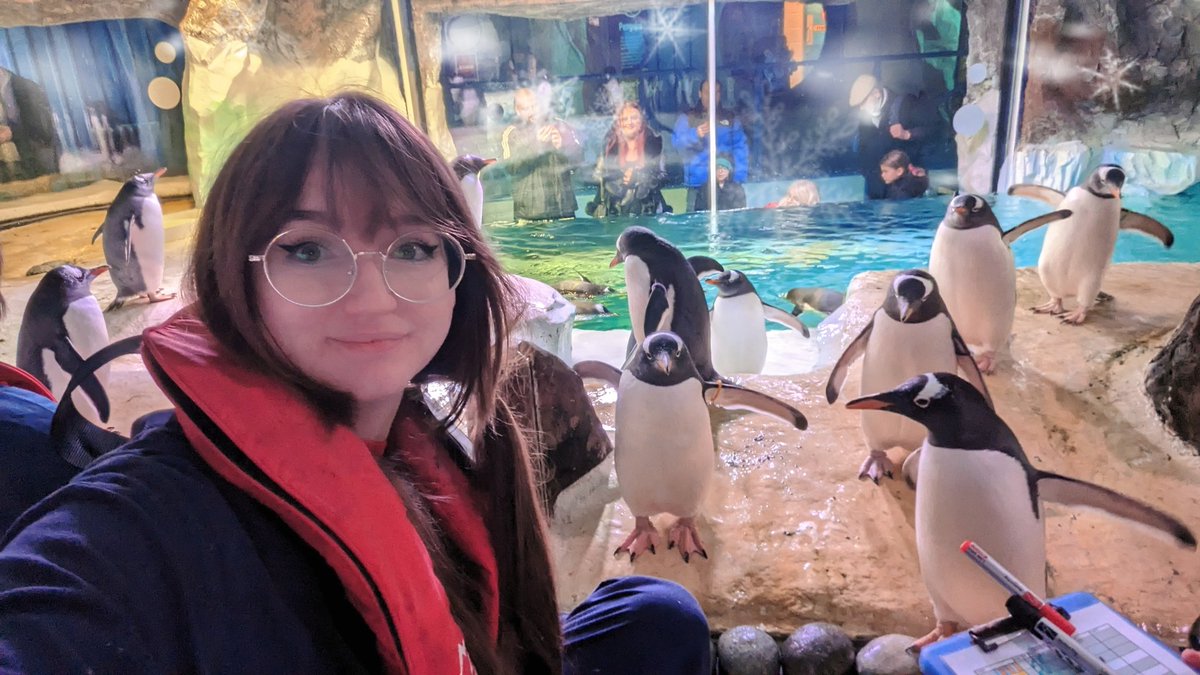 kyahri_'s tweet photo. we finally got to feed our penguin friends at the sea life centre again!! 🥹🥹💞 https://t.co/FMT8ajJyjc