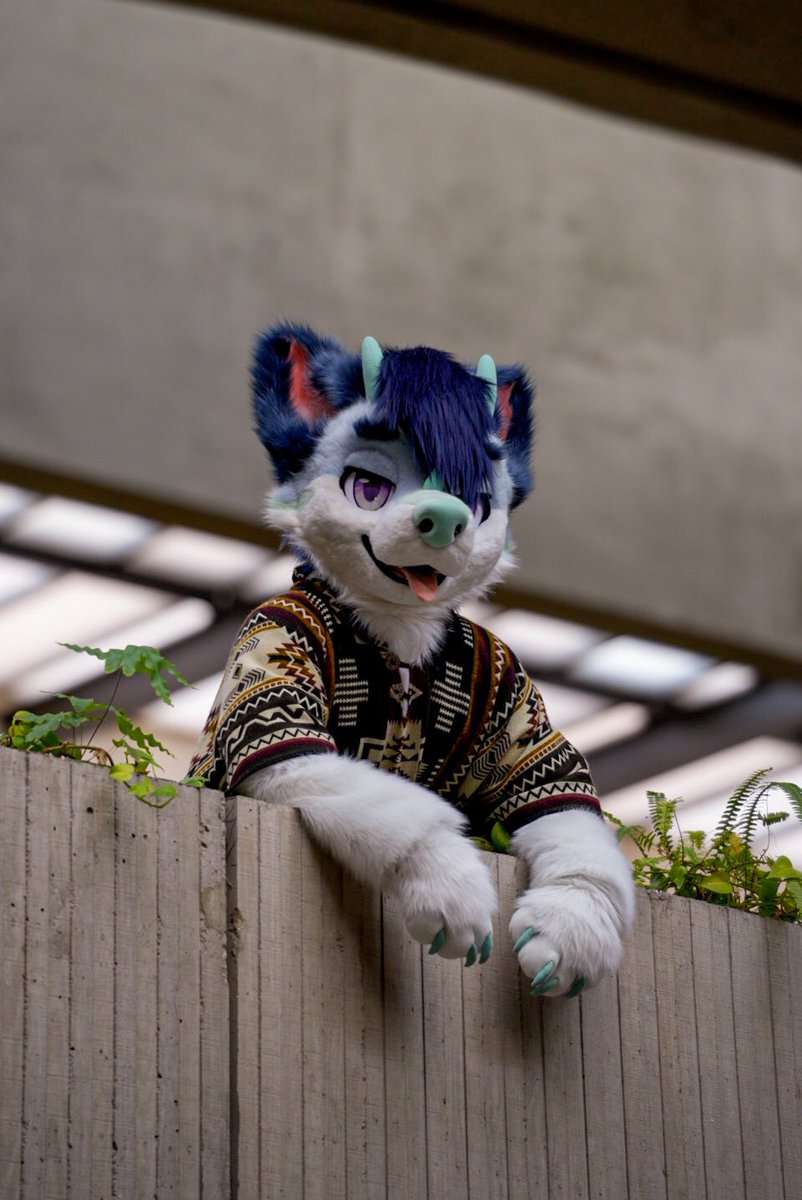 磷灰灰灰Grey tweet media