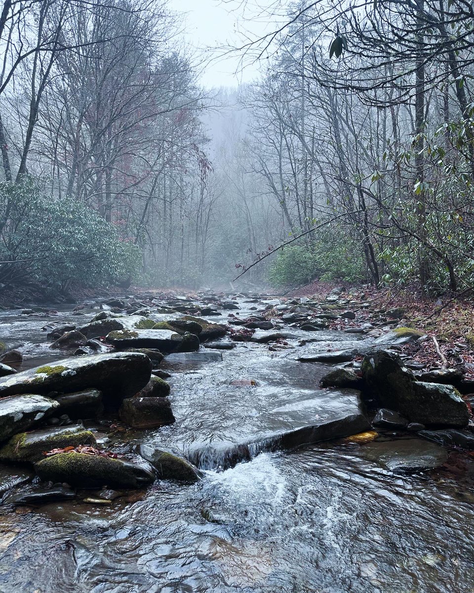 Rainy days are for fly fishing #flyfishing #troutbum #publicwater #catchandrelease