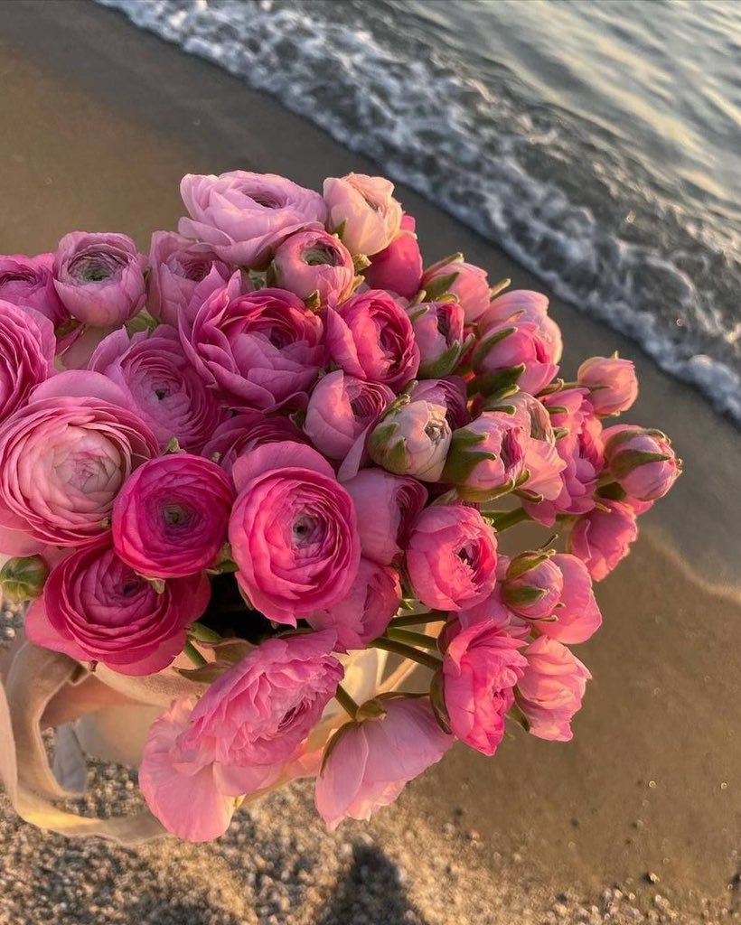 رانسولان tweet media