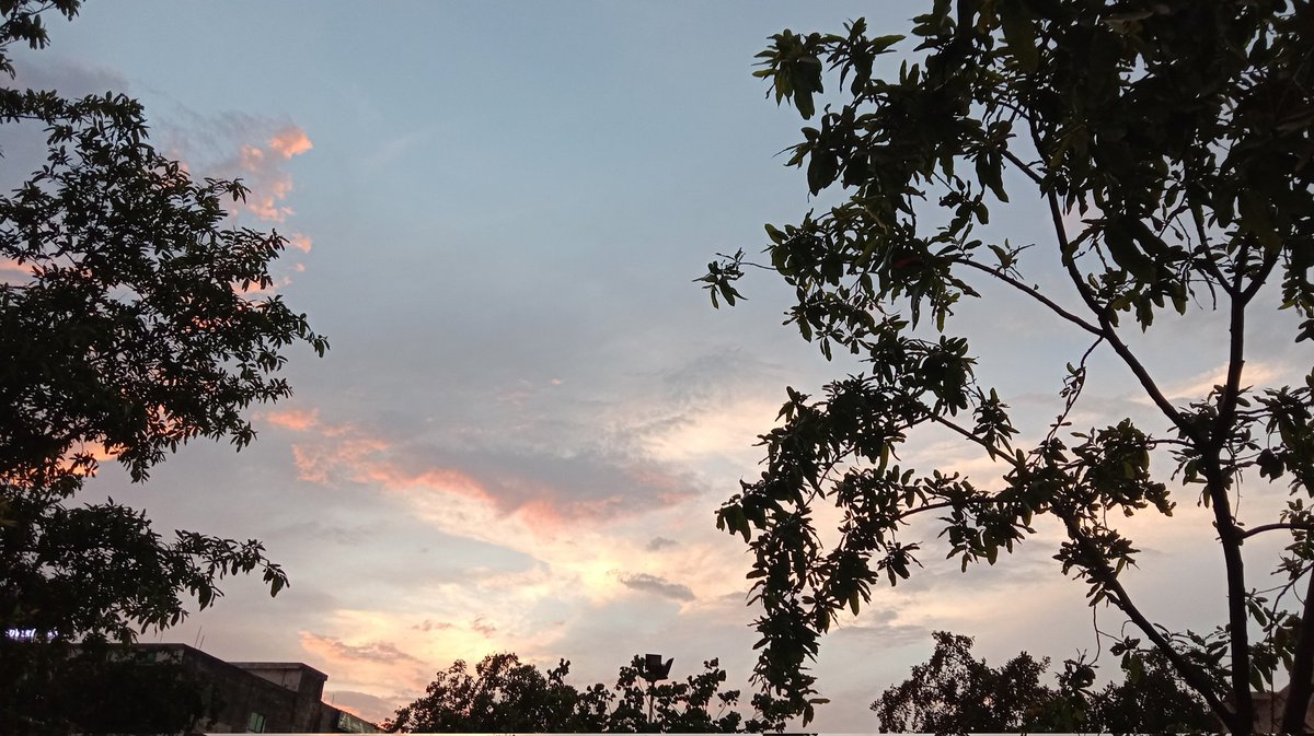 thesurrealthing's tweet image. &apos;remember, love that doesn&apos;t include honesty does not deserve to be called love&apos;. #alexmichaelides