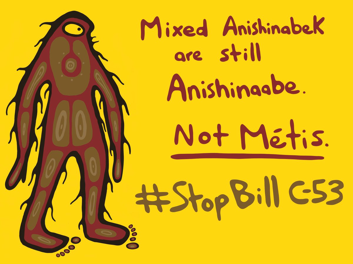 mishiikenhkwe's tweet image. Saabe is an honest being, and I think the Métis Nation of Ontario could learn from him, and quit changing our mixed Anishinaabek ancestors into Métis when they were not.

Being mixed does not magically transform our Anishinaabe ancestors into Métis ancestors for the MNO.