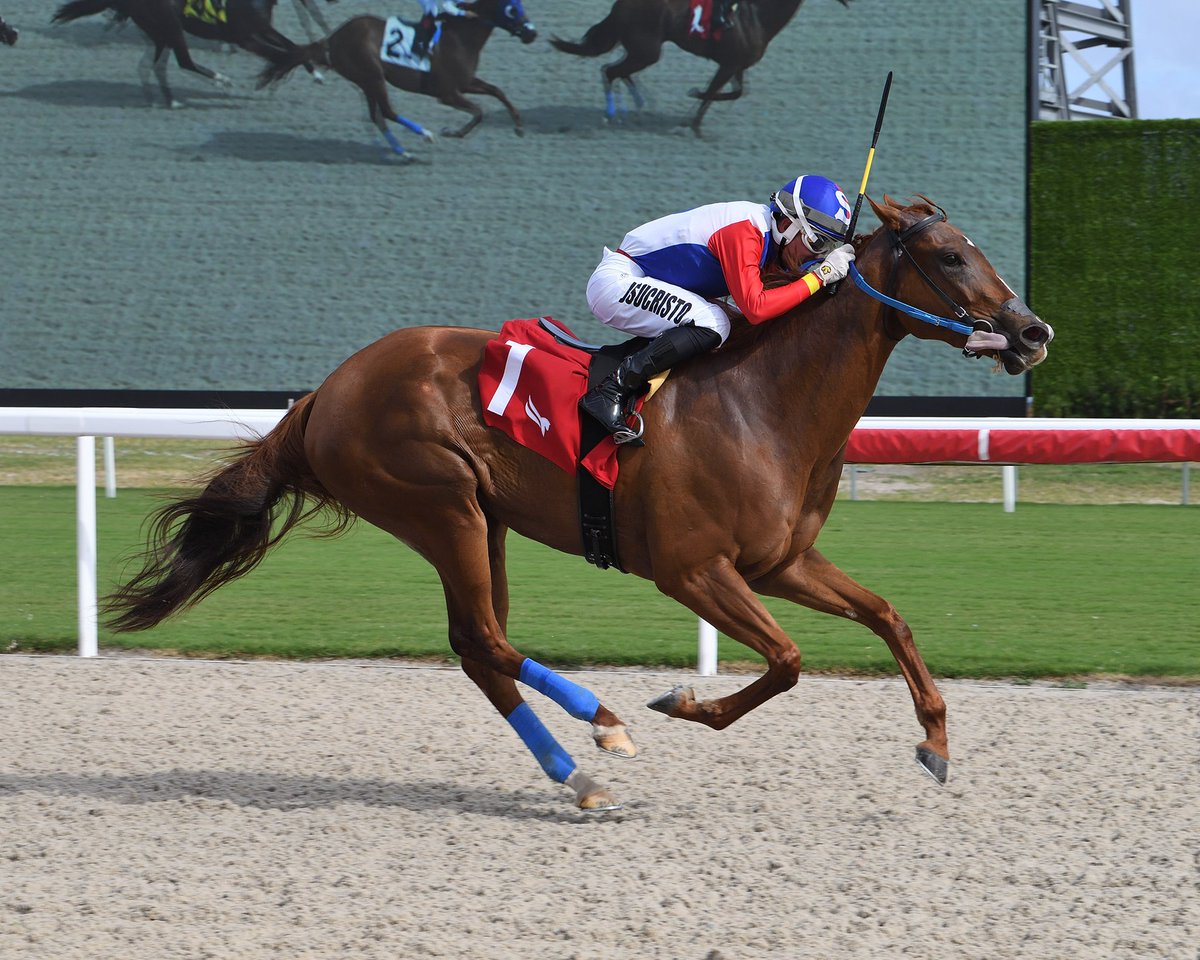 Demurely holds on to deliver in race 3,<a href="/ivanPimentelJr/">Ivan Pimentel Jr</a> up for trainer Pedro García.  #GulfstreamPark #ChampionshipMeet
