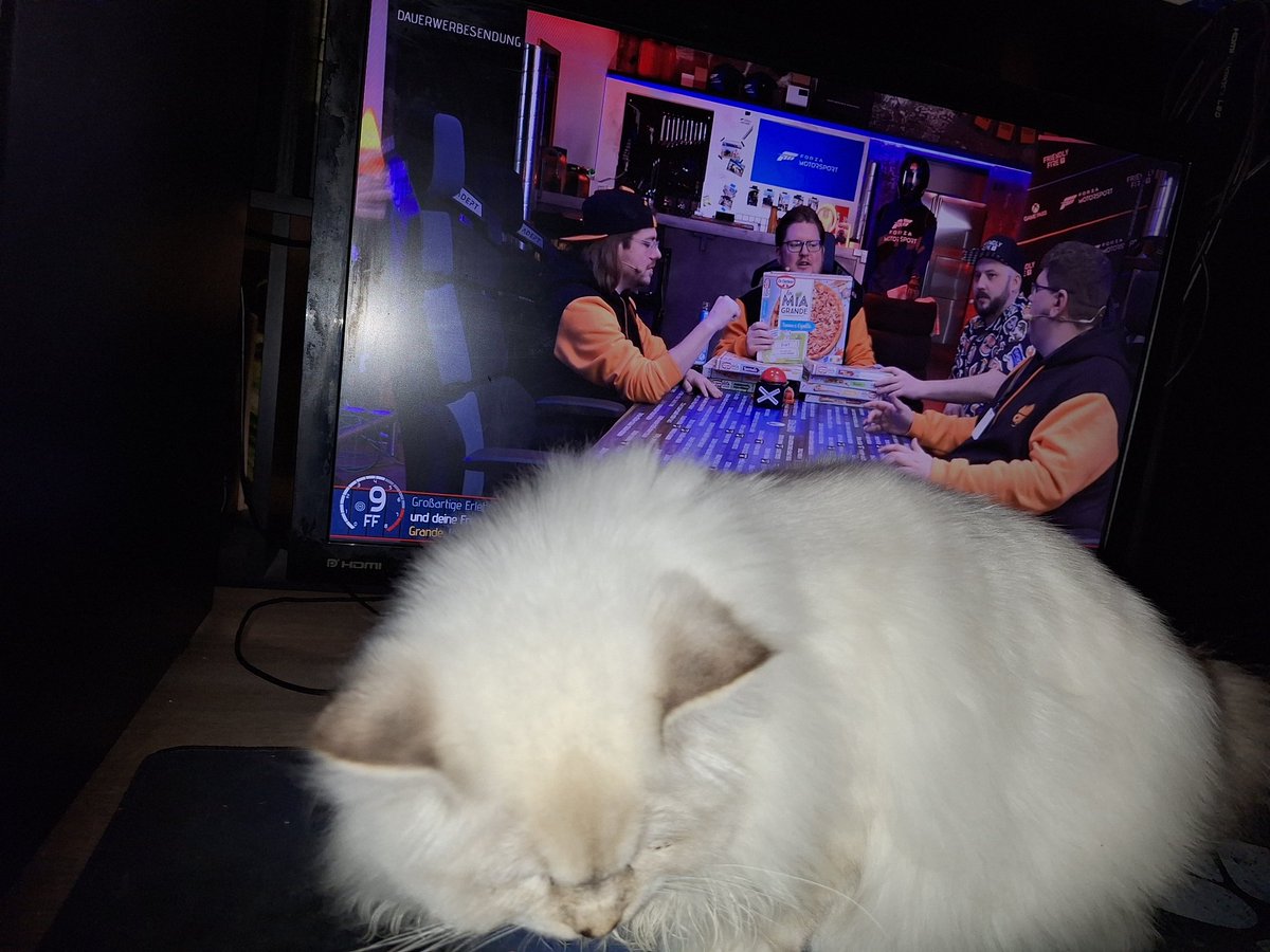 Khalindora's tweet photo. Katers kein Bock auf Fotos. Egal, kann ich in Ruhe #friendlyfire9 weiterschreiben. https://t.co/yBsZoUS7cd