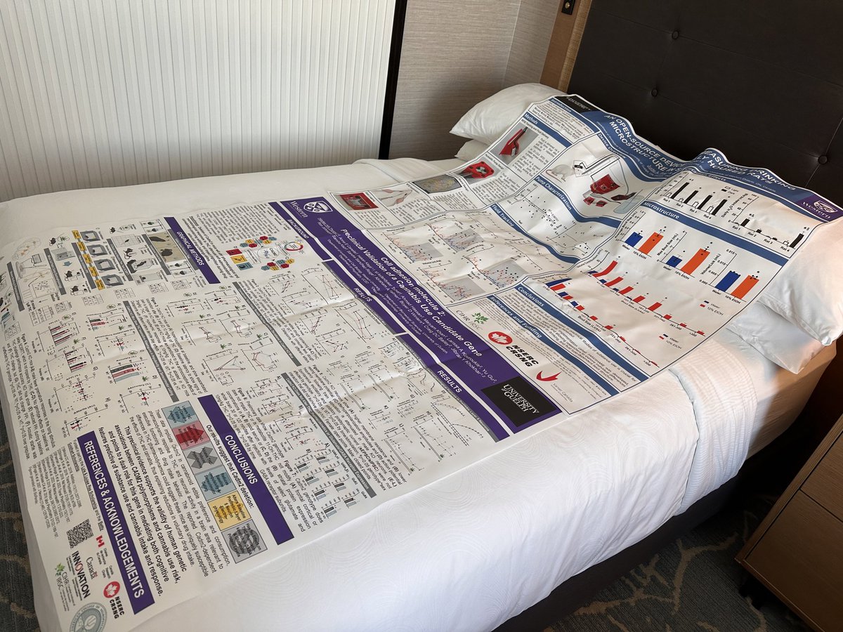 Jibran Khokhar tweet media