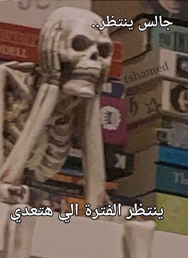 True Memes (@truememes_) on Twitter photo 