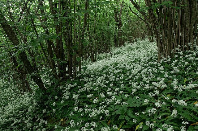 𓍊˖ ࣪⊹ tweet media