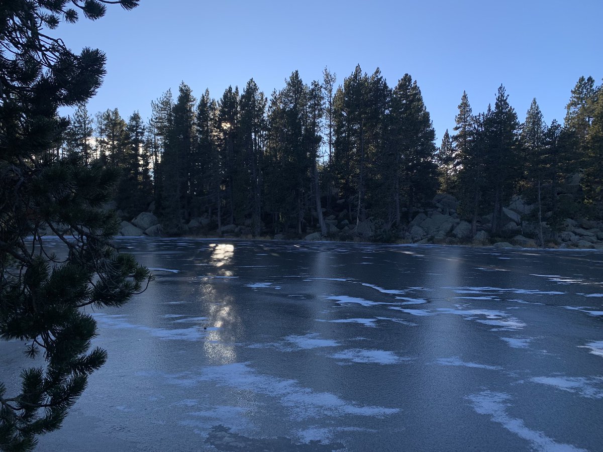 eferrerpont1's tweet photo. #paisatgeshivernals de #muntanya: retalls de pinedes de #pinegre (Pinus uncinata), falda i cim de la Tossa Plana de Lles, i estany de l’Orri #LaCerdanya
Quin privilegi poder-los gaudir! https://t.co/thJvIWFC5s