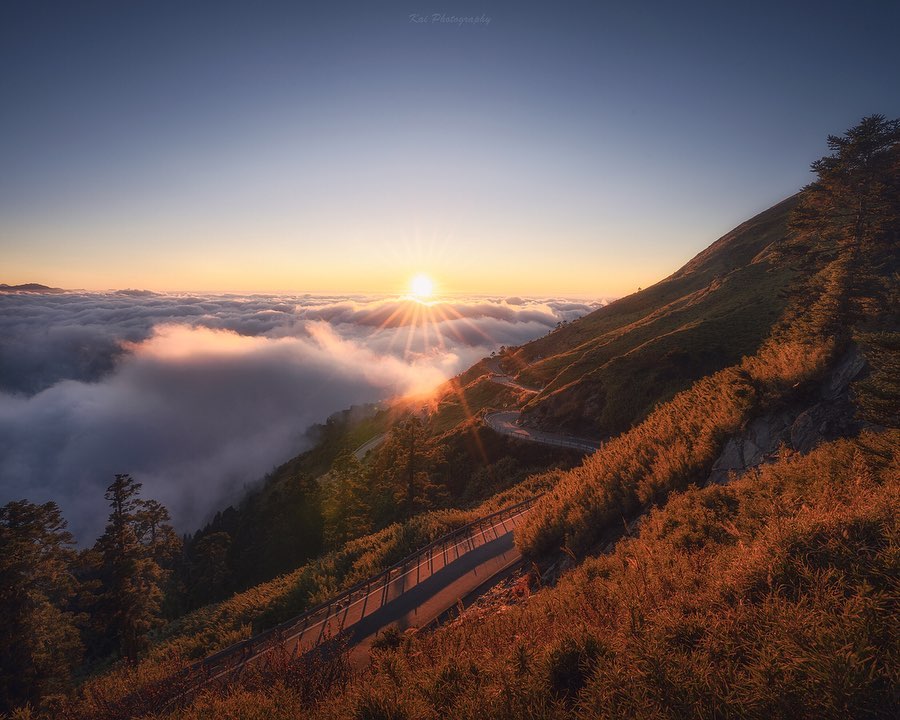 When people are tired, they can rest, but when their hearts are tired, what should they do?