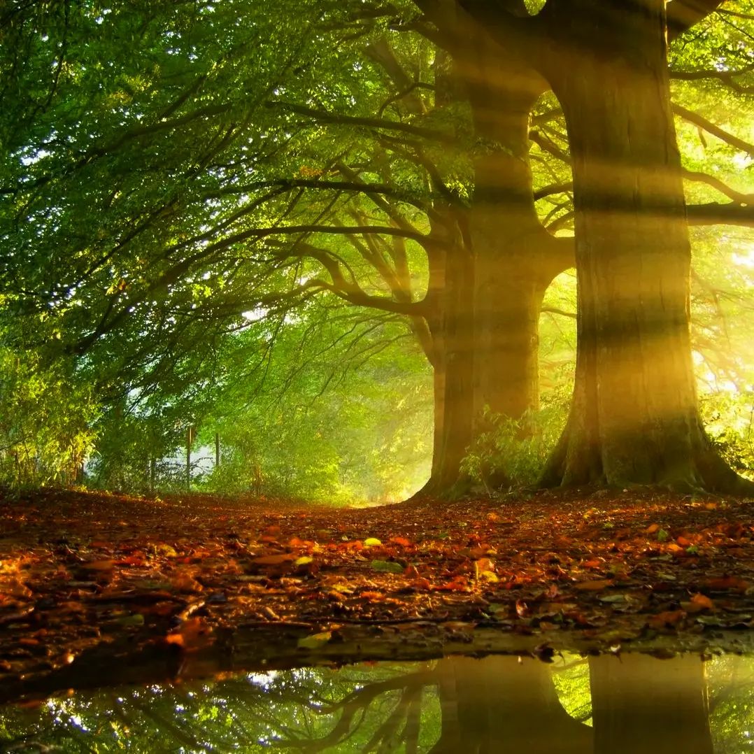 If you take less detours, you will miss the scenery. Anyway, thank you for the experience.