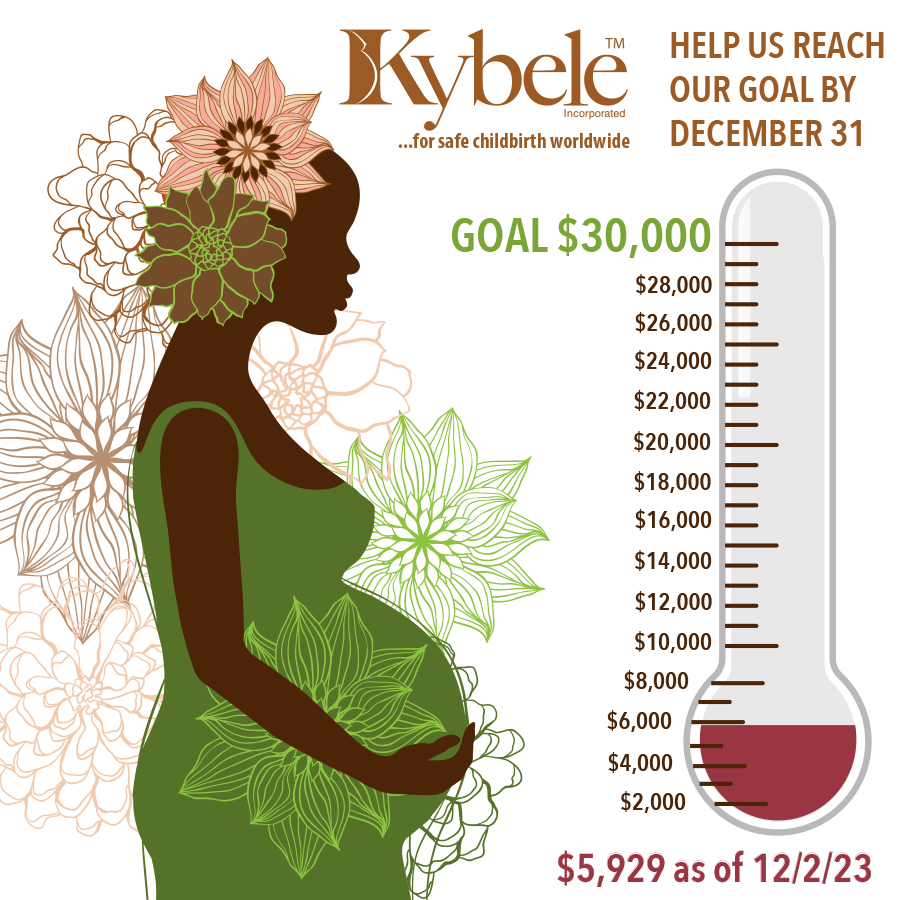 THANK YOU to the donors who kicked-off our year-end campaign on #GivingTuesday. Kybele's goal is to raise $30,000 to support medical education programs which provide training in compassionate & life-saving medical techniques for mothers & infants. kybeleworldwide.org/donate/