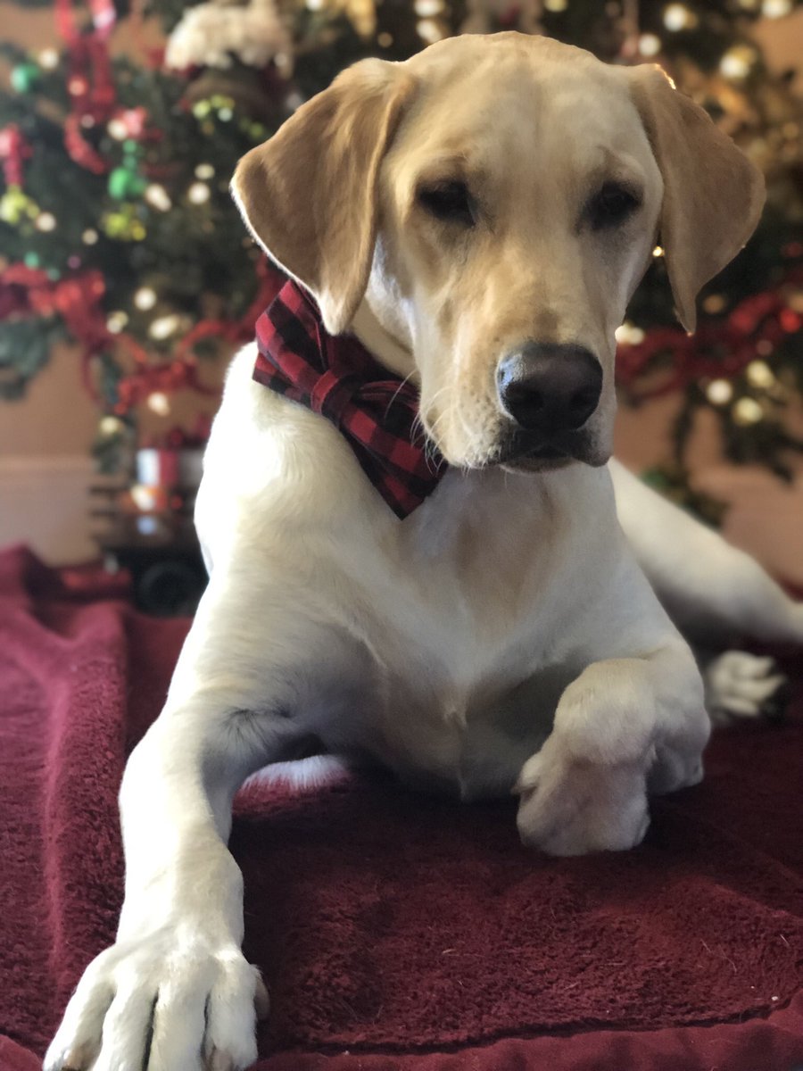 It’s the season Hendrix loves!