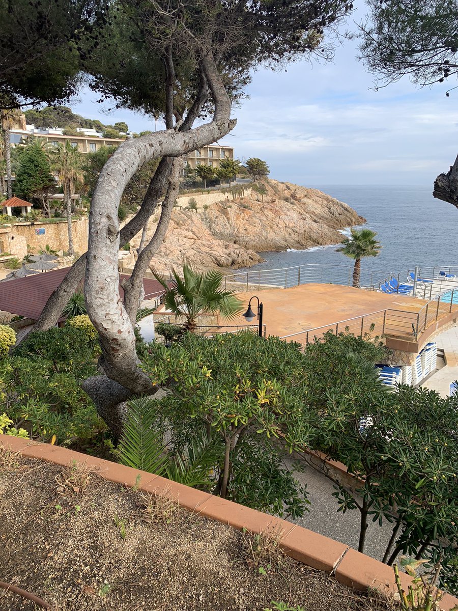 Heber Rocha tweet media