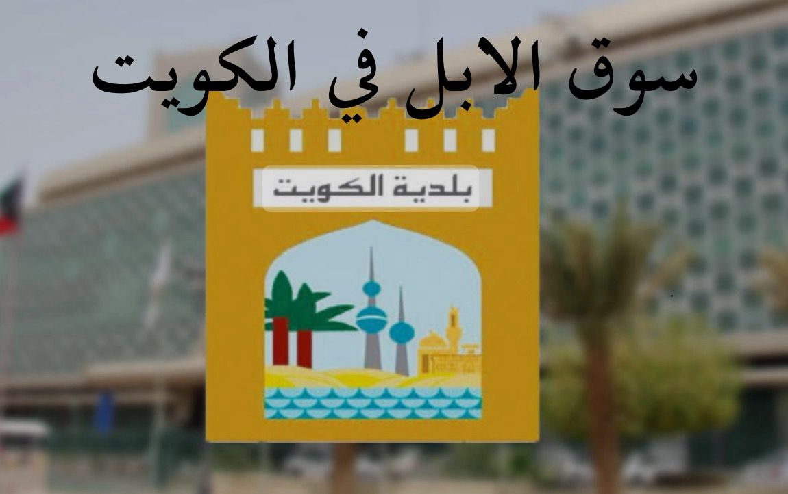 بلدية الكويت للجمعية الكويتية للإبل و موروثها الشعبي : لن تكون هنالك ازالة لسوق الإبل لحين إيجاد بديل افضل .

تواصل اليوم السبت  رئيس مجلس ادارة الجمعية الكويتية للإبل و موروثها الشعبي السيد ثامر الشبعان مع  وكيل بلدية الكويت بالإنابة السيد ثامر بن عيد ، للإستفسار حول موضوع ازالة