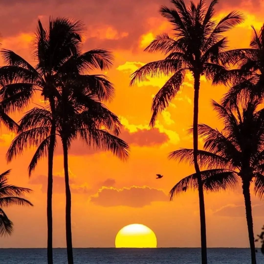 See different scenery and have a good mood.