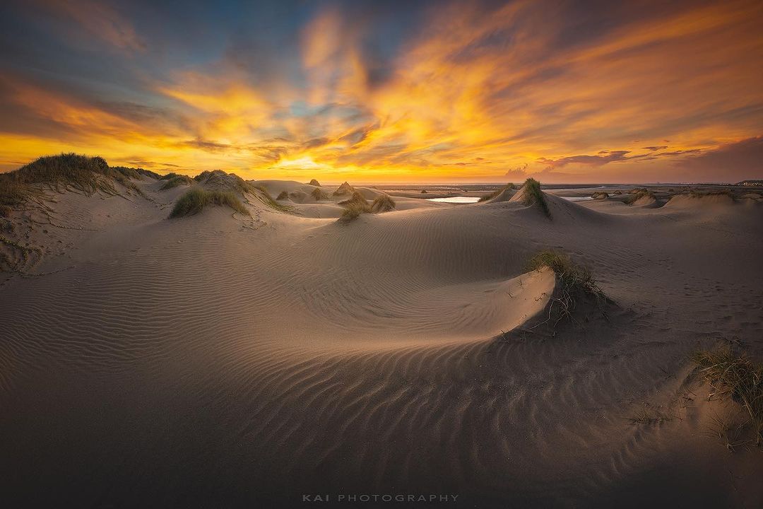 Many people sold their dreams and exchanged them for daily necessities.