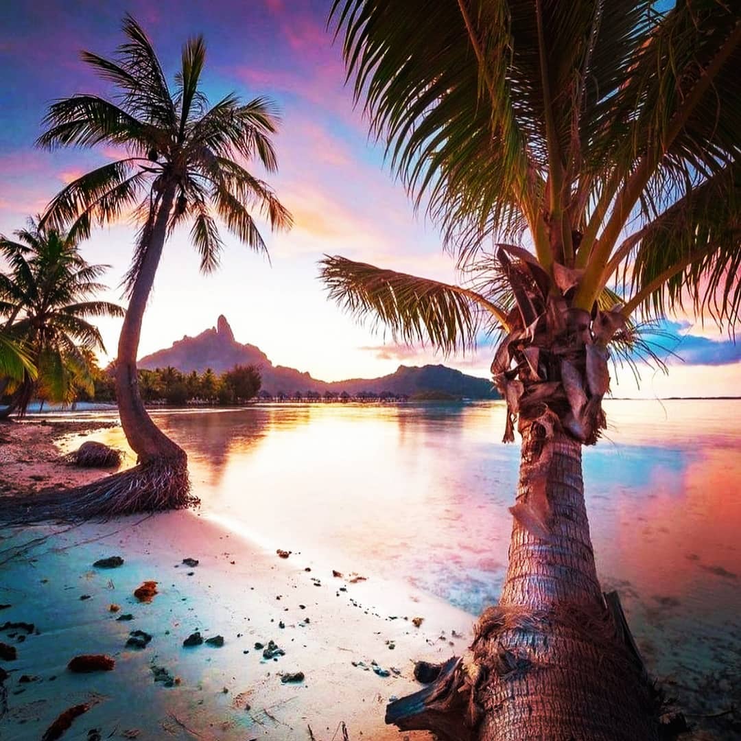 Days of wandering, wandering and free