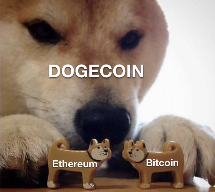 dogeofficialceo's tweet photo. https://t.co/evg33opqR0