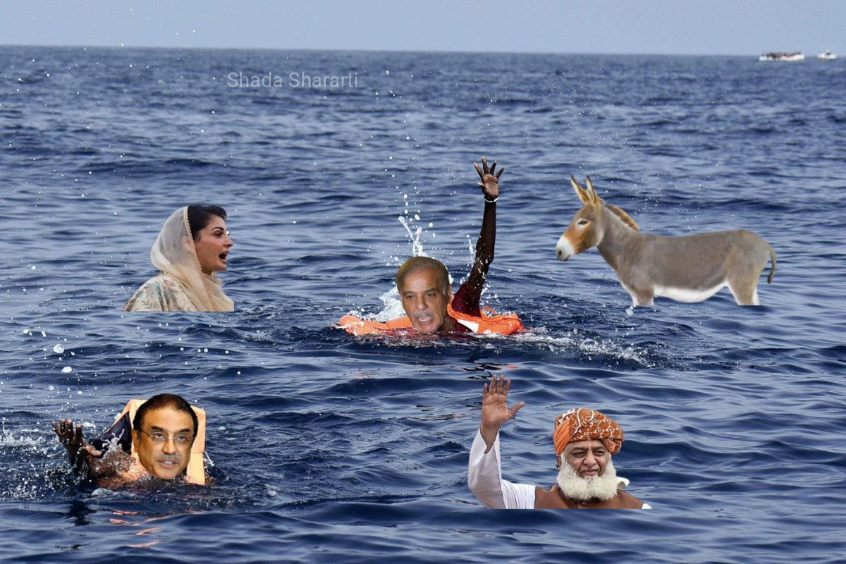 Sara Mir tweet media