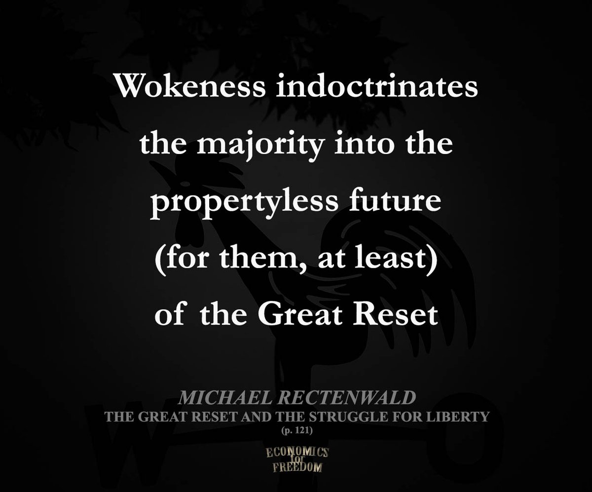 Rothbardianism's tweet photo. #MichaelRectenwald #Woke #ideology #Wokeness #theGreatReset #WEF #WEFAgenda2030 https://t.co/TkOJyBh1ng