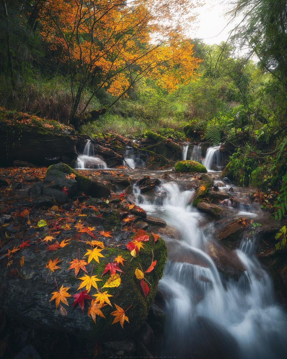 Be bought by the good scenery, and the rest is all a good mood.