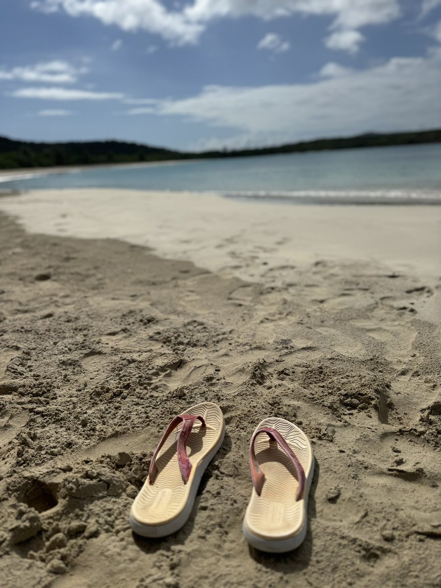NurseBerter's tweet photo. #Culebra, P.R. 🥥🏴‍☠️🫶🏻 https://t.co/BtW2LIER6P