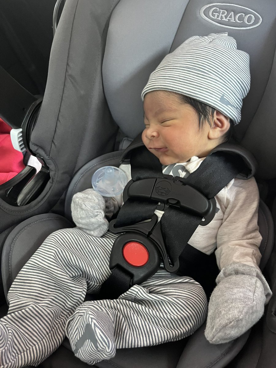 ssanddra__'s tweet photo. photo dump of my baby boy since twitter hasn’t seen him 🩵 https://t.co/x7G74muAqe