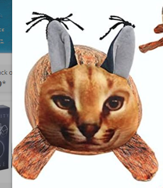 RochRobertson's tweet photo. This is one of the funniest things I've ever seen - I love him and I want one. Hahaha the side profile is amazing.
@Portalcoin #Portalcoin #amazon #cryptid #cryptids #whatisthisthing https://t.co/dc35aUFsCZ