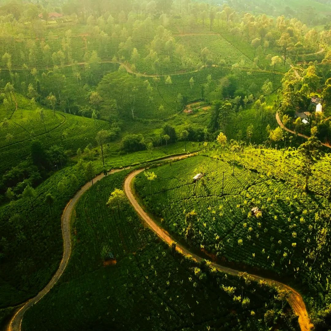 If you take less detours, you will miss the scenery. Anyway, thank you for the experience.